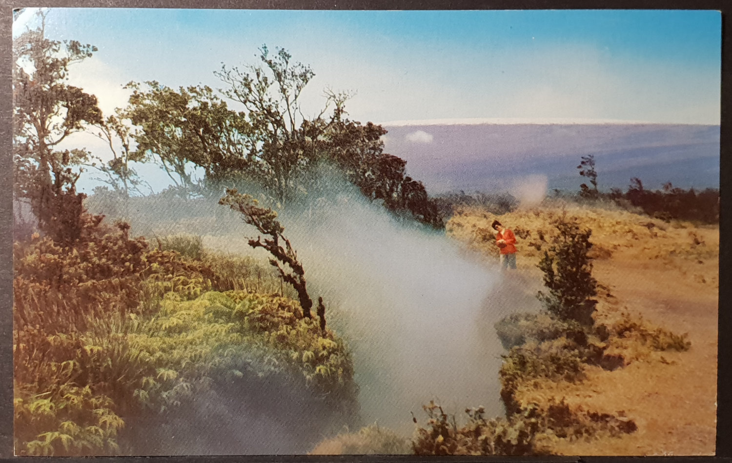 postcard USA - HI - Hawaii #0022 (image for) postcard USA - HI - Hawaii #0022